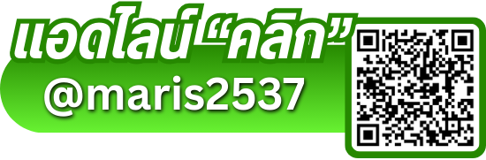 Line มาริศ